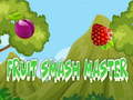 Тоглоом Fruit Smash Master 