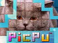 Тоглоом PicPu Cat 