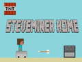 Тоглоом Steveminer Home