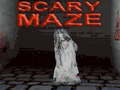 Тоглоом Scary Maze 3D