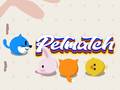 Тоглоом Pet Match