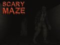 Тоглоом Scary Maze