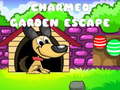 Тоглоом Charmed Garden Escape