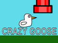 Тоглоом Crazy Goose