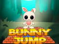 Тоглоом Bunny Jump