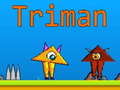 Тоглоом Triman