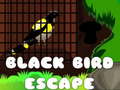 Тоглоом Black Bird Escape
