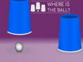 Тоглоом Where Is The Ball?