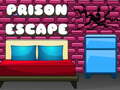 Тоглоом G2M Prison Escape