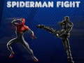 Тоглоом Spiderman Fight