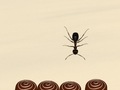 Тоглоом Smash All Ants