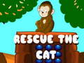 Тоглоом Rescue The Cat