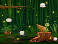 Тоглоом Snail Run