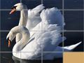 Тоглоом Animals Slide Puzzle
