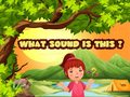 Тоглоом What Sound Is This?