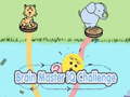 Тоглоом Brain Master IQ Challenge