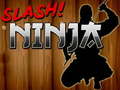 Тоглоом Slash Ninja