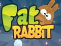 Тоглоом Fat Rabbit