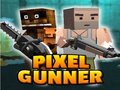 Тоглоом Pixel Gunner