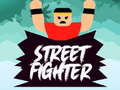 Тоглоом Street Fighter 