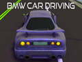 Тоглоом BMW car Driving 
