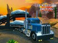 Тоглоом 18 Wheeler Driving Sim