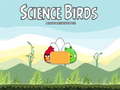 Тоглоом Science Birds