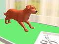 Тоглоом Pet Care