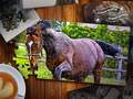 Тоглоом Jigsaw Puzzle Horses Edition
