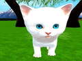 Тоглоом Cutie cat