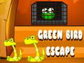 Тоглоом Green Bird Escape