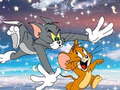 Тоглоом Tom & Jerry: Runner
