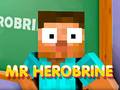 Тоглоом Mr Herobrine