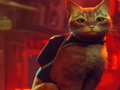 Тоглоом Stray