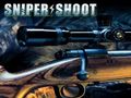 Тоглоом Sniper Shooting
