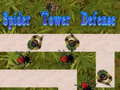 Тоглоом Spider Tower Defense