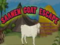 Тоглоом Saanen Goat Escape