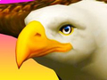 Тоглоом Eagle Ride