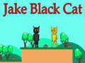 Тоглоом Jake Black Cat