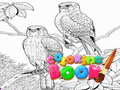 Тоглоом Coloring Book for Adults