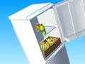 Тоглоом Fill Fridge