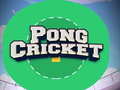 Тоглоом Pong Cricket