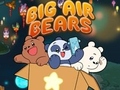 Тоглоом Big Air Bears