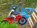 Тоглоом BikeTrial Forest Road 2022