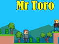 Тоглоом Mr Toro