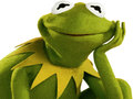 Тоглоом Coloring Book For Kermit the Frog 
