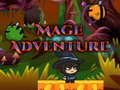 Тоглоом Mage Adventure
