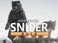 Тоглоом Wild Hunter sniper buck