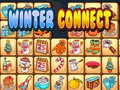 Тоглоом Winter connect