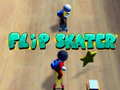 Тоглоом Flip Skater